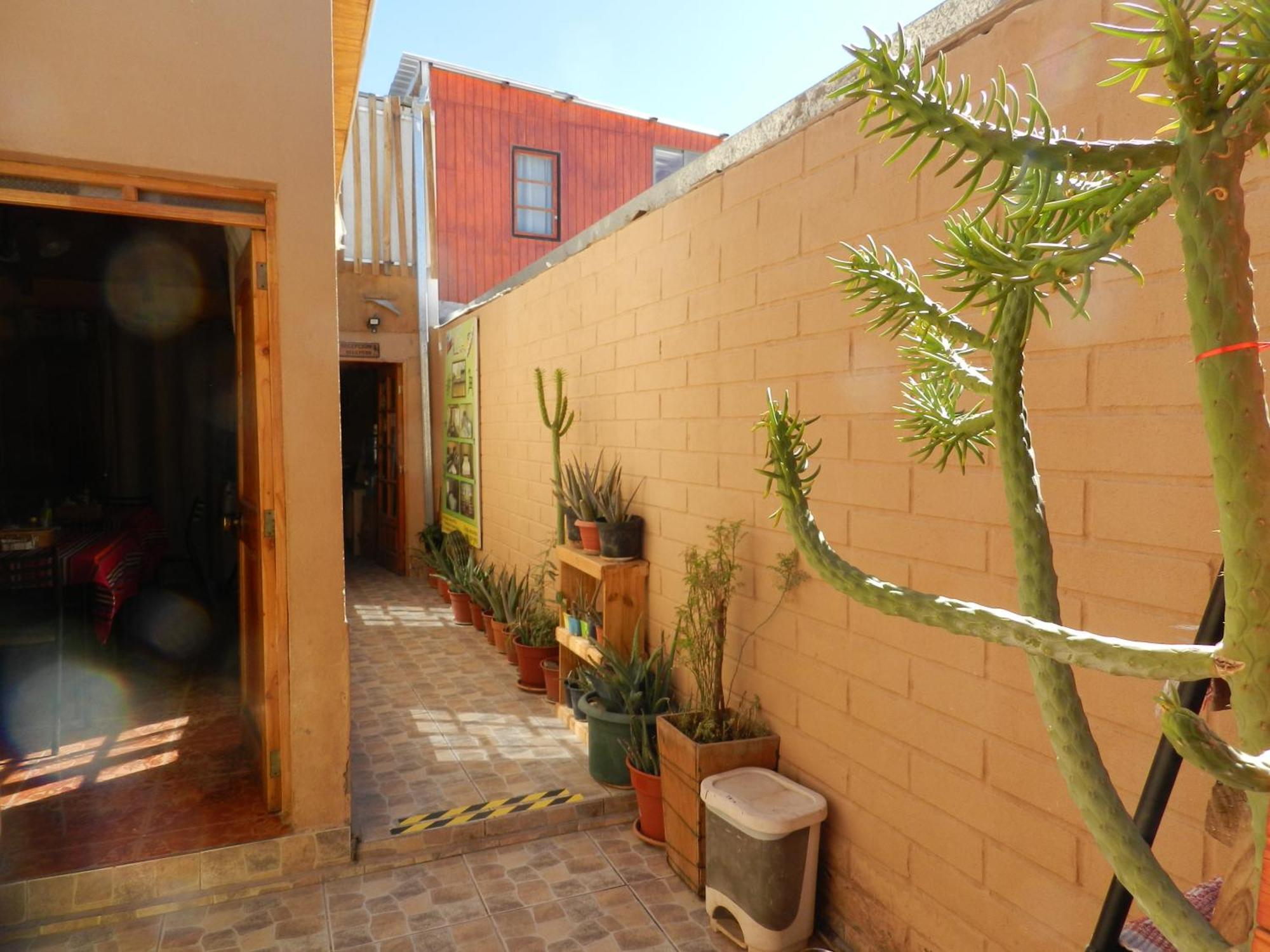 סן פדרו דה אטקאמה Hostal Illari מראה חיצוני תמונה